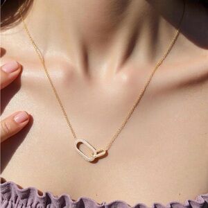 Nordstrom Gold Pendant Necklace / Gift Bag / Jewelry Cleaner